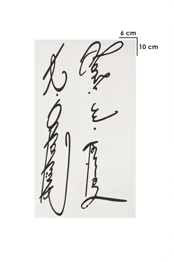 Geçici Atatürk İmza Mini Dövme Tattoo